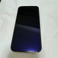 iPhone12pro 256GB ほぼ新品 使用期間数日‼️