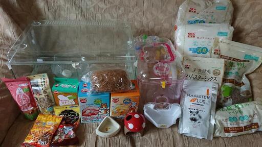 ハムスター 飼育セット