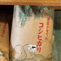 【本日限定】コシヒカリ 10kg - 5,000円