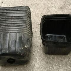 育苗ポット 　新品未使用　色　サイズバラバラですが数万ポット