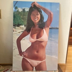 アグネスラム　パネルポスター