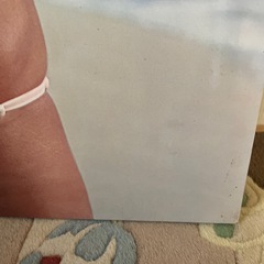 アグネスラム　パネルポスター