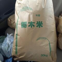 令和6年度取れ立て新米 (コシヒカリ)