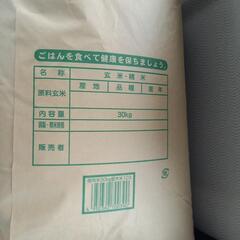令和6年度取れ立て新米 (コシヒカリ)