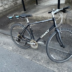 ジャイアントエスケープr3  Mサイズ