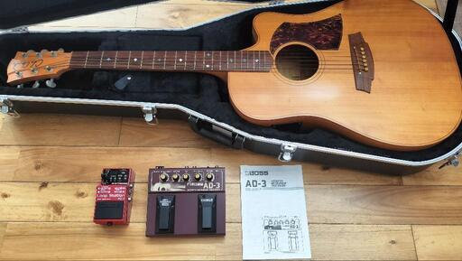 弦楽器、ギター Cole Clark FL2AC