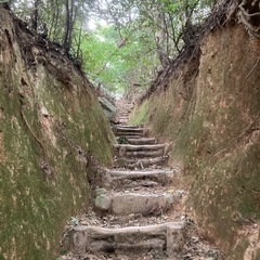 10/27(日)【30代ゆる登山部】貫山登ります！ - 福津市