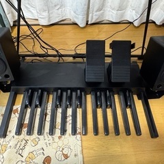 YAMAHA ELC-02 カジュアルモデル