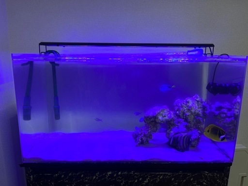 水槽