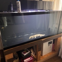 アクリル水槽1500セット