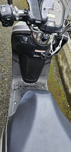 原付 ホンダ ダンク 2024 5月新品納車 最新モデル ホンダ原付2種の人気