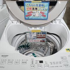 配送可【シャープ】9K洗濯機☆2023年製 分解クリーニング済/6ヶ月保証