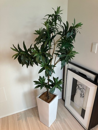 【美品】フェイクグリーン　観葉植物④