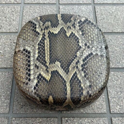 三線　太鼓　チーガー　二重張り