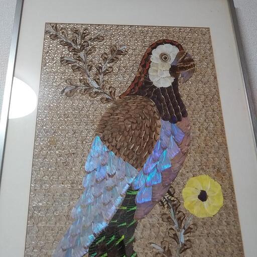 蝶の羽 絵画 ③ モルフォ蝶絵画羽アート額縁込み