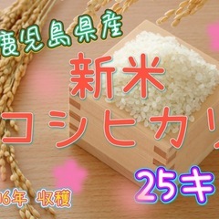 令和6年収穫🩵ྀི新米🌾コシヒカリ🩵ྀི数量限定1️⃣2️⃣