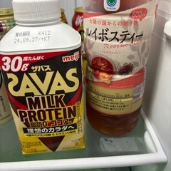 プロテインお茶