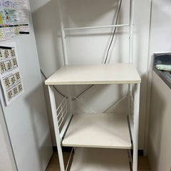 広島市内配送】🍆種まきマシンベジタブルシーダー菜々子🍅 (政です  