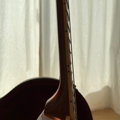 Gibson Les Paul Standard Mahogany Top Limited Run 2016年製