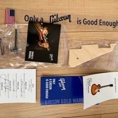 Gibson Les Paul Standard Mahogany Top Limited Run 2016年製