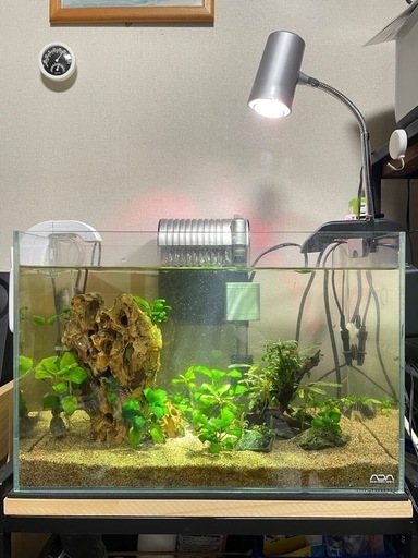 ADA45cm水槽・水槽台・その他オールシーズンセット