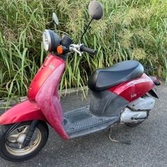 車体　ホンダ　トゥデイ　AF61