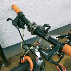 MTB SCHWINN MOAB SL