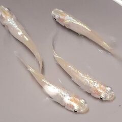 値下げ】絵画 雪の越後 作者：佐藤準一