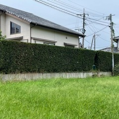 剪定、草刈、伐採、その他お庭手入れ