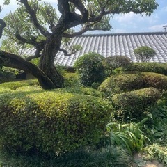 剪定、草刈、伐採、その他お庭手入れ