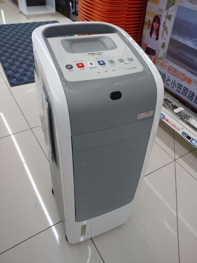 アピックスインターナショナルホット＆クールオールシーズン2021年製NO.2584
