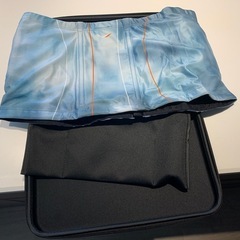 【絵画】ボタニカルアート「はまゆり」原画-パワースーツコアベルト