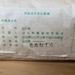 令和6年産　新米　きぬむすめ　30kg【5袋限定出品】【受付終了】