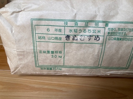 令和6年産　新米　きぬむすめ　30kg【5袋限定出品】【受付終了】