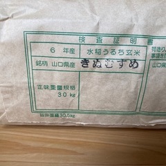 令和6年産　新米　きぬむすめ　30kg【5袋限定出品】【受付終了】