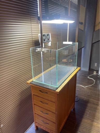 【今すぐ始めれるアクアリウムセット】ガラス水槽60cm LED照明フィルタ付き