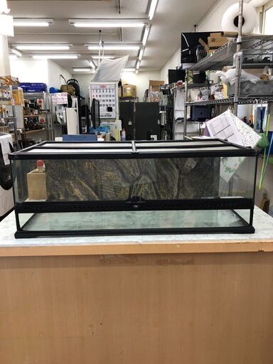 【売り切れ】爬虫類飼育セット EXO TERRA  幅91.5×奥行46.5×高さ33cm 飼育セット 爬虫類 グラステラリウム ナチュラルテラリウム 自社配送時代引き可(現金、クレジット、スマホ決済対応)