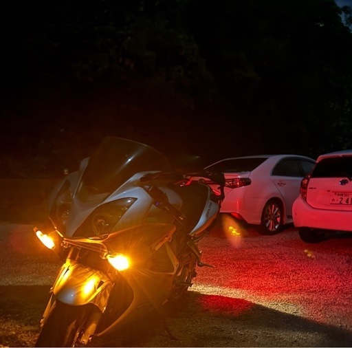 VFR800  v4 VTEC  プロアーム