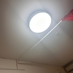 STONE ISLANDグラフィック バックプリントTシャツ-popIn Aladdin 2 プロジェクター