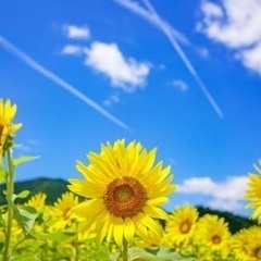 誰かと笑って過ごす時間も大切にしたい⏱ ̖́-‬同年代のお友達大...