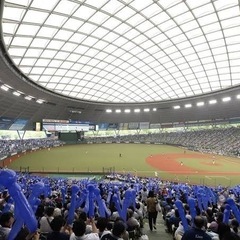 野球観戦好きな人集まれ‼︎