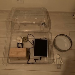 ハリネズミ飼育セット　