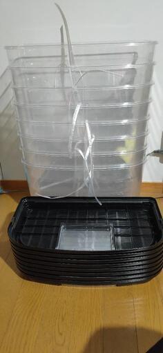 虫かご アイリスオーヤマ 8個 訳あり まとめ売り