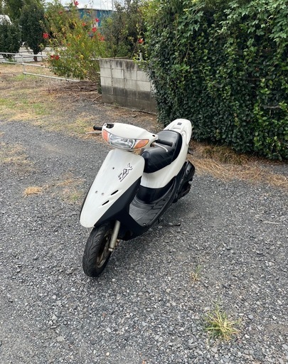 889. 　動画あり　AF35 ライブディオZX仕様　原付　バイク　50cc   埼玉　車体