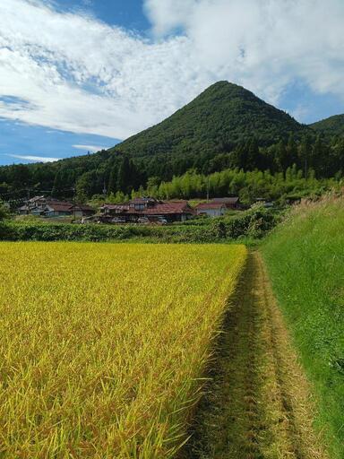 北広島町産令和6年新米　ひとめぼれ　玄米30kg　循環農業　減農薬　有機肥料　色彩選別済み