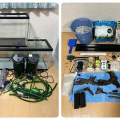 【受渡し決定】水槽セット
