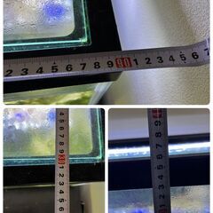 【受渡し決定】水槽セット
