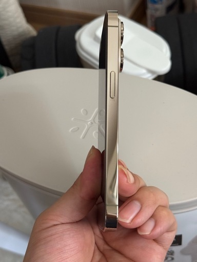 iPhone14 PRO SIMフリ(ゴルド 256GB) iPhone 14 Pro 256GB - シルバー