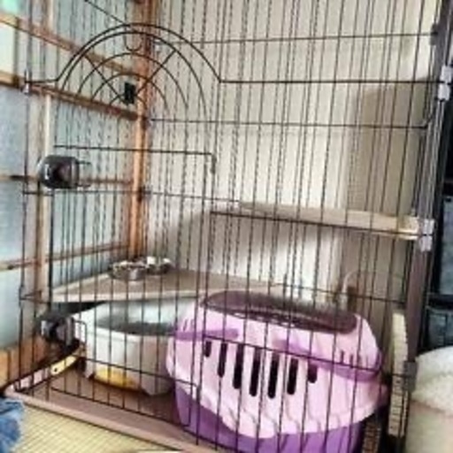 値下げ 猫ちゃん用ケージセット