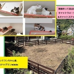 🉐9、10月限定🐶ワンちゃんに無料で10畳ドッグラン制作！😻猫ち...